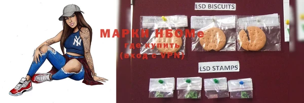 apvp Белая Холуница