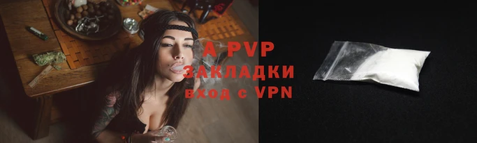 PSILOCYBIN Переславль-Залесский