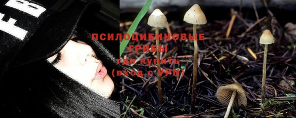 apvp Белая Холуница