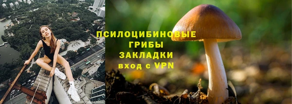 PSILOCYBIN Переславль-Залесский