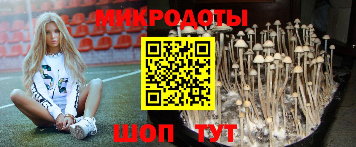 Галлюциногенные грибы Psilocybe  Вход с VPN  Саянск 